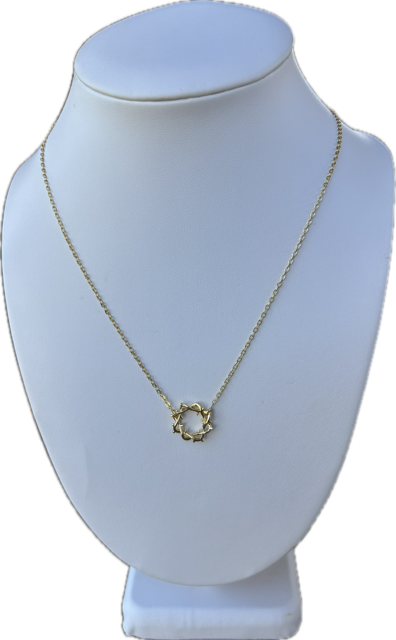 Crown of Thorns Necklace